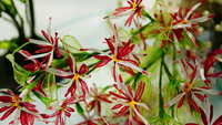https://images.plurk.com/54tCo52KxbncV0i07wlCh1.jpg