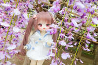https://images.plurk.com/54uoxreEBnJpQXjoz8Q22c.jpg