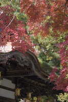 https://images.plurk.com/54wsMiJzkrI9NQjiwu1wga.jpg