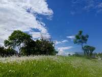 https://images.plurk.com/55FaiTlA5OQqnhWNylXBFU.jpg