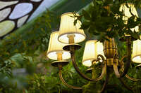https://images.plurk.com/55LAYFe4M7HSZDq3FBvOMK.jpg