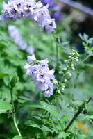 https://images.plurk.com/55NNvlnSjbjt5uCJCiD2Vw.jpg