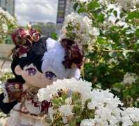 https://images.plurk.com/55OO9fVV3jscBg1oHPNgFl.jpg