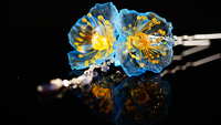 https://images.plurk.com/55OjXQkwUclrK4YW3mYgRS.jpg