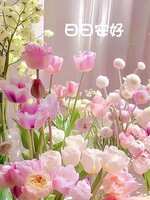 https://images.plurk.com/55Ol2LSNKK0u8V3xMJMcFx.jpg