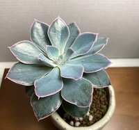 https://images.plurk.com/55RLvPg9PB7kO54Wx1QxNe.jpg