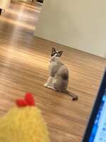 https://images.plurk.com/55TIgjVTl1XeNHJ4cYVT9D.jpg