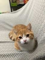https://images.plurk.com/55W1GYBHQP31KBxigujVxT.jpg