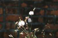 https://images.plurk.com/55WJqqJQ6YfcUzAQ8p61W9.jpg