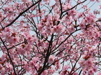 https://images.plurk.com/55YnKNnDA0S93VfFUXbyGj.jpg