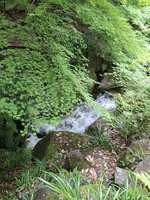 https://images.plurk.com/55ZcFS5UjjjJubOWtkxsrf.jpg