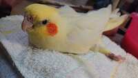 https://images.plurk.com/55crDc2Yzrg04fKmLGHDpT.jpg