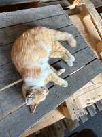 https://images.plurk.com/55esaojD9CW0FV7kVX0zVI.jpg