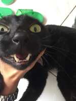 https://images.plurk.com/55f4FugArANW4mtN6M8HwZ.jpg