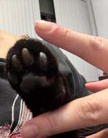 https://images.plurk.com/55fQR9EUPNNlgQe6dgfuwA.jpg
