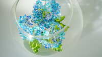 https://images.plurk.com/55n3fpWkBJSSuiTH3I2bJM.jpg