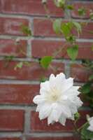 https://images.plurk.com/55vJMbmpsNICOCXL3sjsO2.jpg