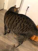 https://images.plurk.com/561INdL5FlFVkHjENYyrPt.jpg