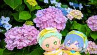 https://images.plurk.com/563z5h0qB1KP7sJWwYolSg.jpg