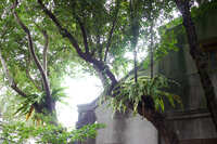 https://images.plurk.com/56MHB6UQC6SkDCCNbYTLLq.jpg