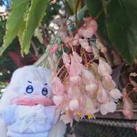 https://images.plurk.com/56WROQsyxXdG9yVwaffPuh.jpg