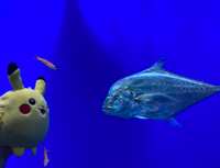 https://images.plurk.com/56a0ERGhTSCrbjeiWImjN6.jpg