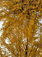 https://images.plurk.com/56eWpOxJ8VCcQ1WGMgZo8f.jpg