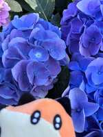 https://images.plurk.com/56h2r9EntzMtNYMx89bUyH.jpg