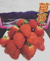 https://images.plurk.com/56kv8iVMPygLze9yfxsGSJ.jpg