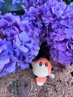 https://images.plurk.com/56lVozwyYRFi5bngXkTllO.jpg