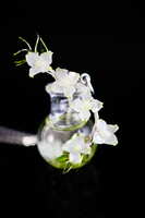 https://images.plurk.com/576TnWorsIJVcr638jo0lz.jpg