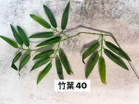 https://images.plurk.com/57Fhi3pH9a6WqtBpqyVu6c.jpg