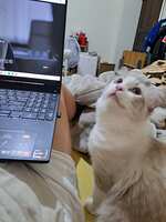 https://images.plurk.com/57LzGPU6ZiD4oUwyPfEKoL.jpg