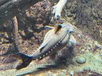 https://images.plurk.com/57Orlhs0L2Uxd8rE9Wvscl.jpg
