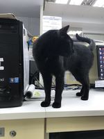 https://images.plurk.com/57Rq2ywHvwvTpKNx7PzpkW.jpg