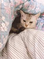https://images.plurk.com/57ZgqOQK67exN7SSEJKrt2.jpg