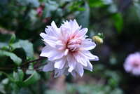 https://images.plurk.com/57cE7FgryFjWuCNRBv7t2u.jpg