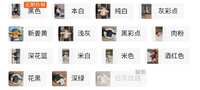 https://images.plurk.com/57fyJJ5CPu07wQylaIImGC.jpg