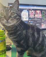 https://images.plurk.com/57gIAYf0pu7GA12xnvuMRf.jpg