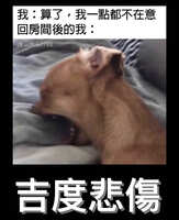 https://images.plurk.com/57zp78nPMTcXM1FBhlLfdI.jpg