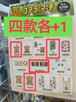 https://images.plurk.com/58EWbZwh8LM2x3YblXONpH.jpg