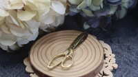 https://images.plurk.com/58FHoNixWNv40PcJH7Siue.jpg
