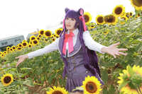 https://images.plurk.com/58JcE8rfJniukCwYqifoF.jpg