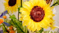 https://images.plurk.com/58XRkxRhjZKnr5W7GQBzIM.jpg