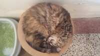 https://images.plurk.com/58bicQCceq1l4FrL1snqfN.jpg
