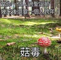 https://images.plurk.com/58iiJBbZXyAyZWZtdeJzW0.jpg