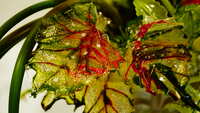 https://images.plurk.com/58j2nnx9n5OFrzVH4Yt5g5.jpg