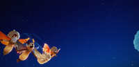 https://images.plurk.com/58ku0a0O8IacR1tXrfhslb.jpg