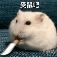 https://images.plurk.com/58otzbi4o9s3h21M8upDzP.jpg