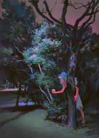 https://images.plurk.com/58q8p4DUBSPmMCU4Tnk3xl.png